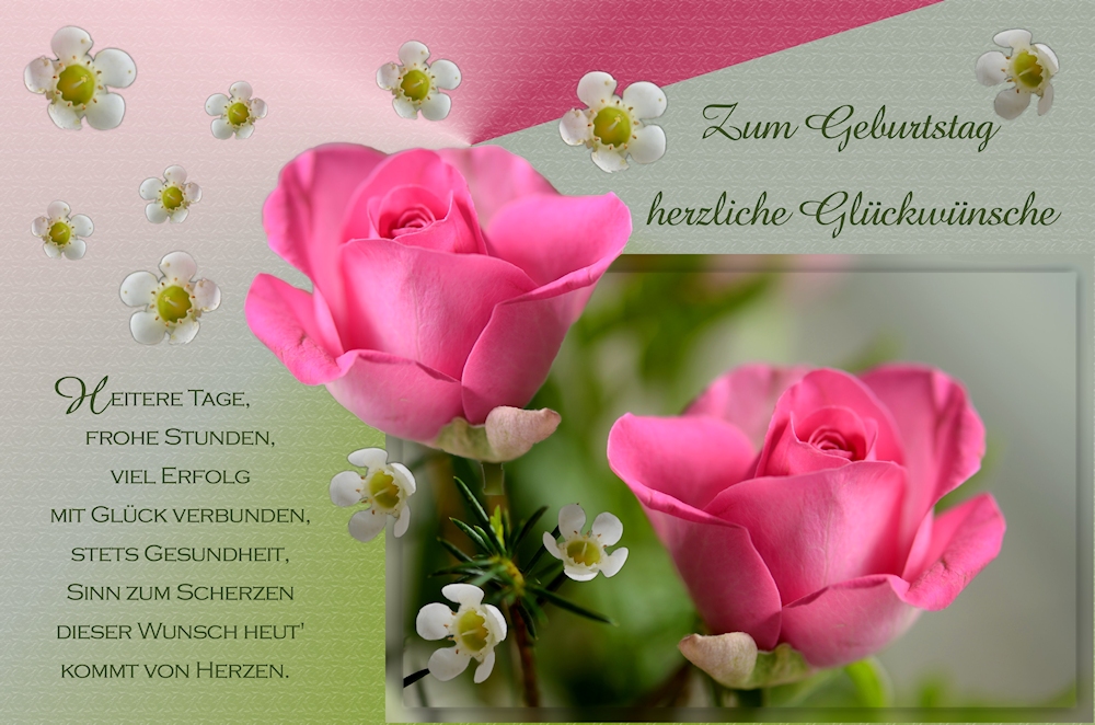 ein Rosengruß.... Foto & Bild gratulation und feiertage, geburtstag