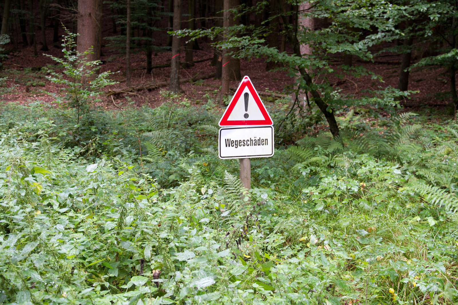 Ein Schild sagt mehr als 1000 Worte Foto &amp; Bild quatsch, fun und