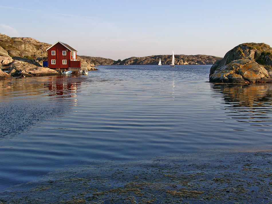 Ein Sommer in Schweden Foto & Bild archiv, endlich sommer, archiv