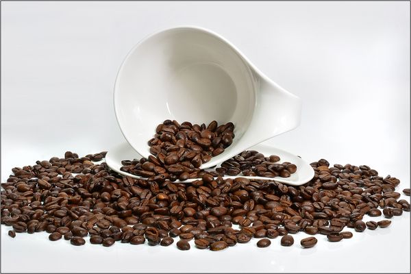 Kaffee Bitte Kaffee Bitte