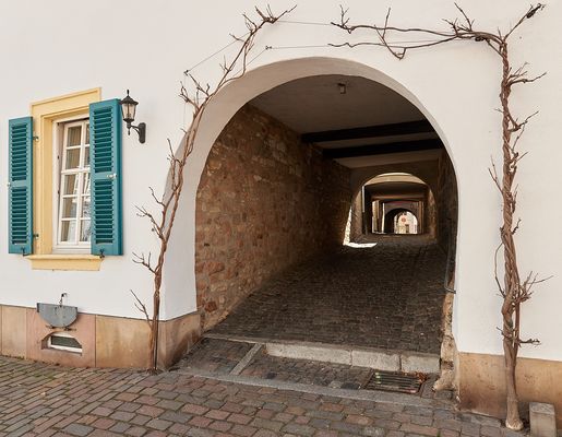Einer der Ein-Durchgänge zum Stadtmauerrundgang in der Historischen Altstadt von Freinsheim (Pfalz).