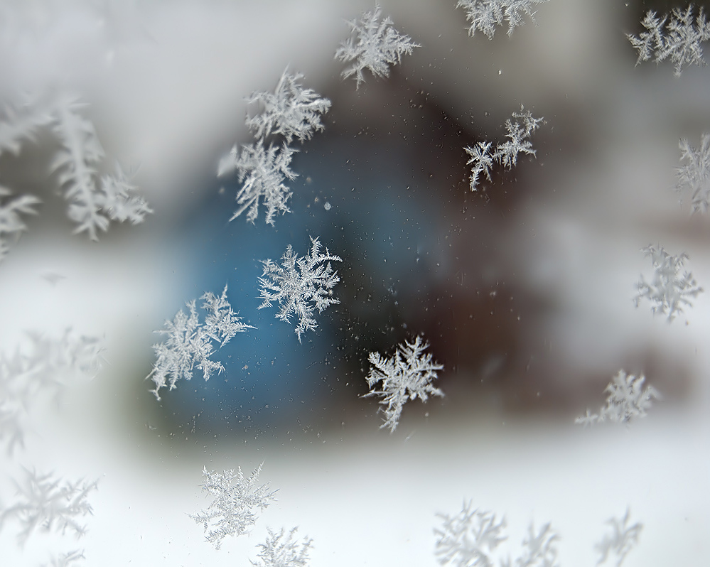 eisblumen am fenster