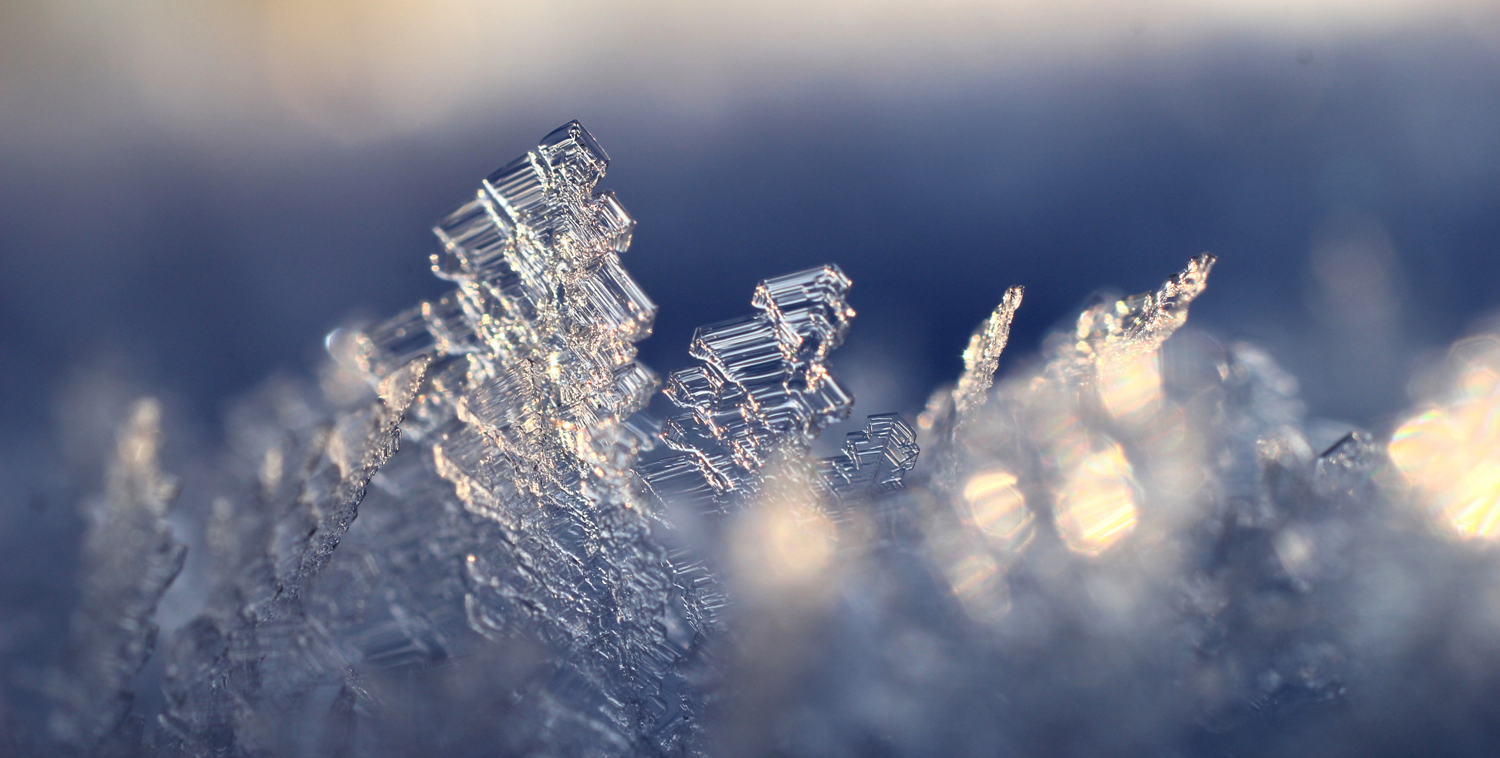 Eiskristalle Foto & Bild  Natur, Monatswettbewerb - Natur, 02 - Formen 