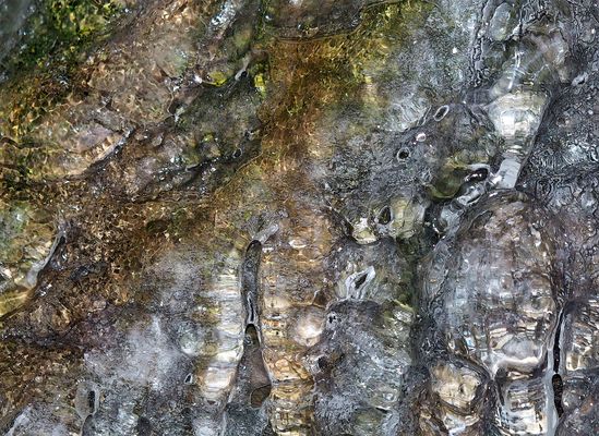 Eiskunst auf moosbedecktem Felsen. - Une fine couche de glace couvre le rocher...