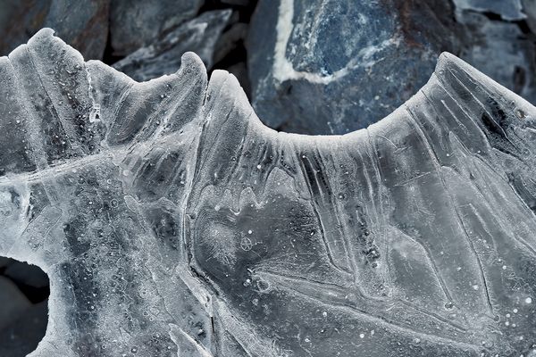Eisplatte über dem Bergbach - Plaque de glace par dessus d'un ruisseau de montagne.