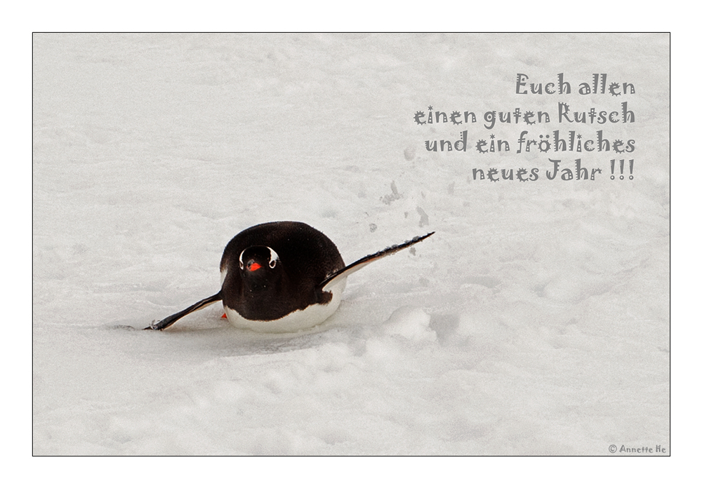 Euch allen einen guten Rutsch und ein fröhliches neues Jahr !!! Foto & Bild karten und