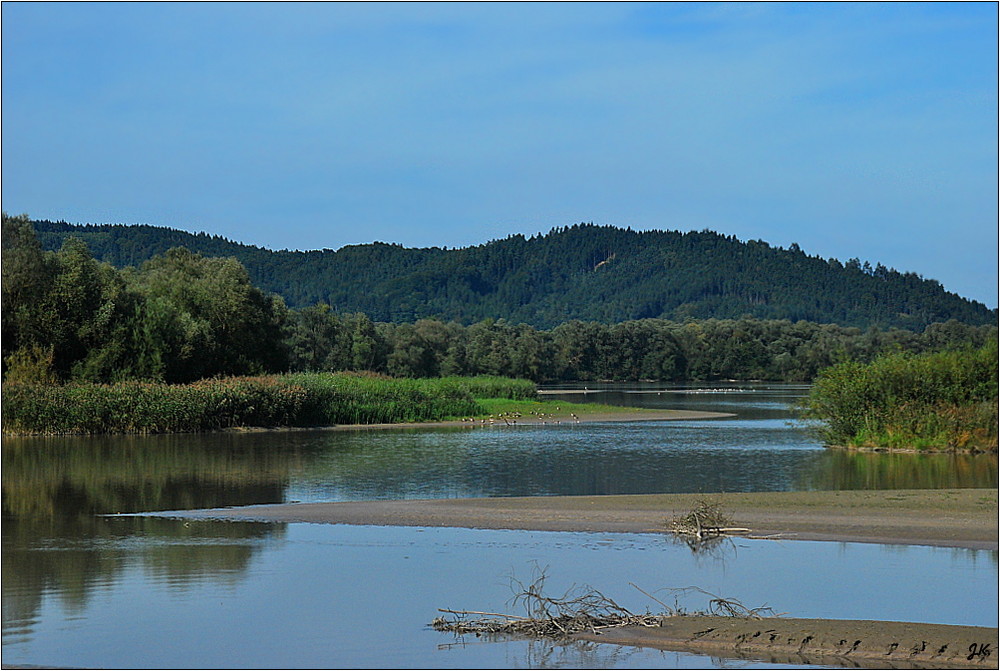 Europareservat unterer Inn Foto & Bild | landschaft, rückkehr der natur