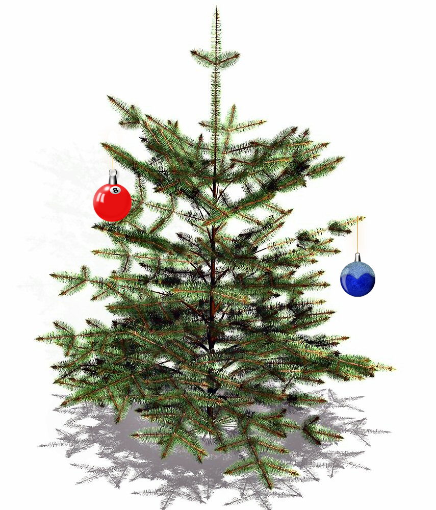 fc weihnachtsbaum 1 foto bild pflanzen pilze fc weihnachtsbaum 1 foto bild pflanzen pilze