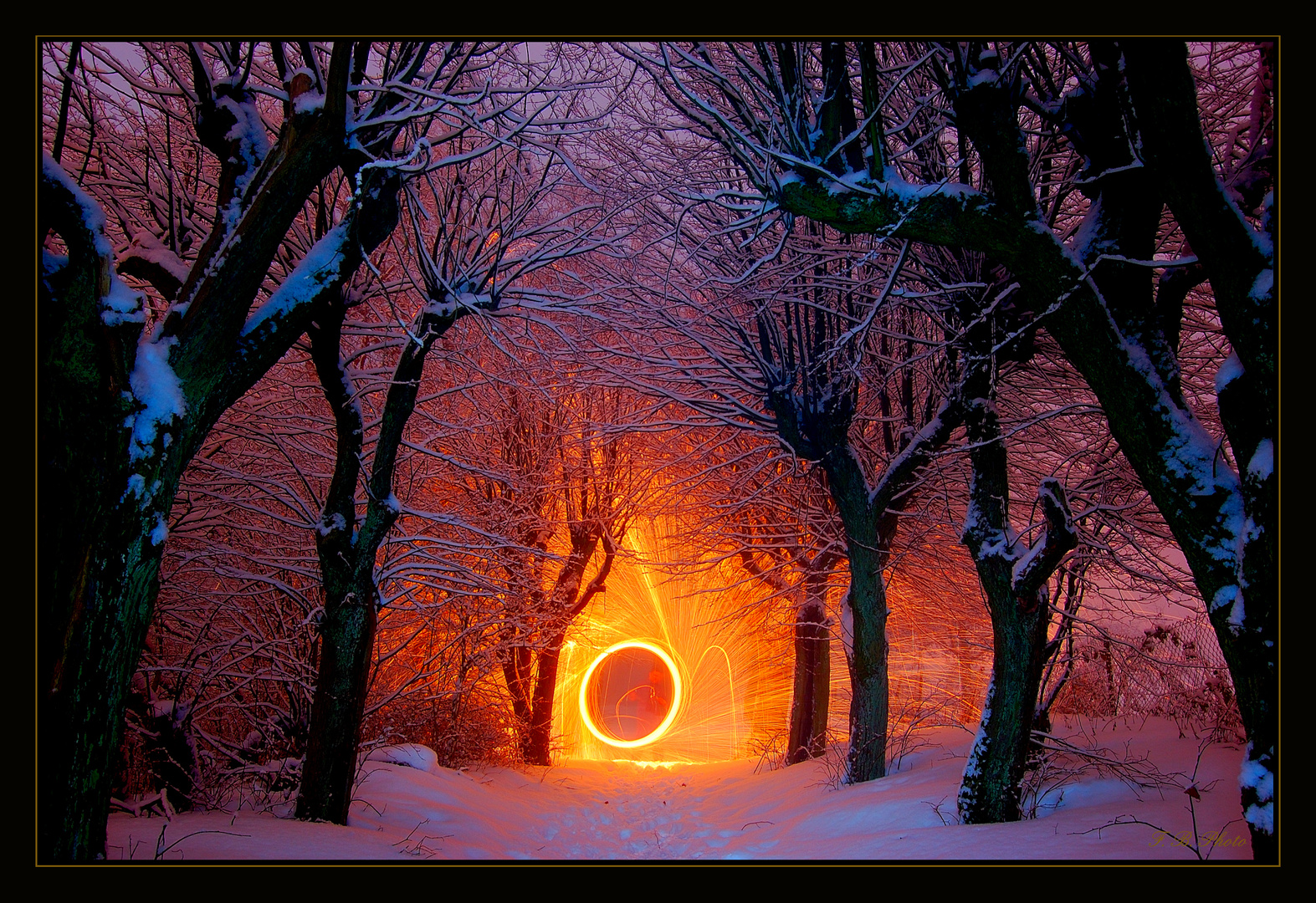 Feuerkreis im Unterholz Foto & Bild | fotokunst, licht und feuer, lapp