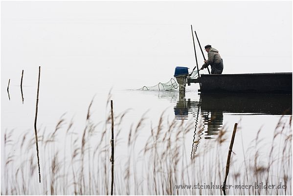 Fischer im Fischerboot bei der Kontrolle seiner Aalreusen bei Nebel auf dem Steinhuder Meer