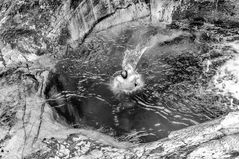 fresh water jump