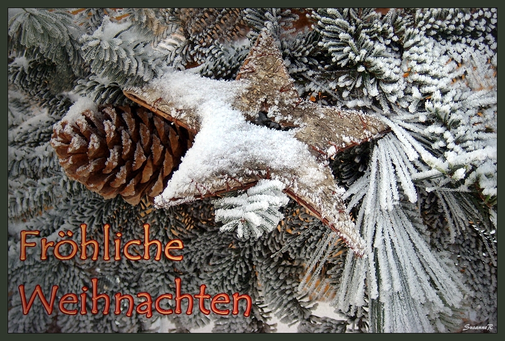 Fröhliche Weihnachten Foto & Bild | gratulation und feiertage ... Fröhliche Weihnachten Foto & Bild | gratulation und feiertage ...