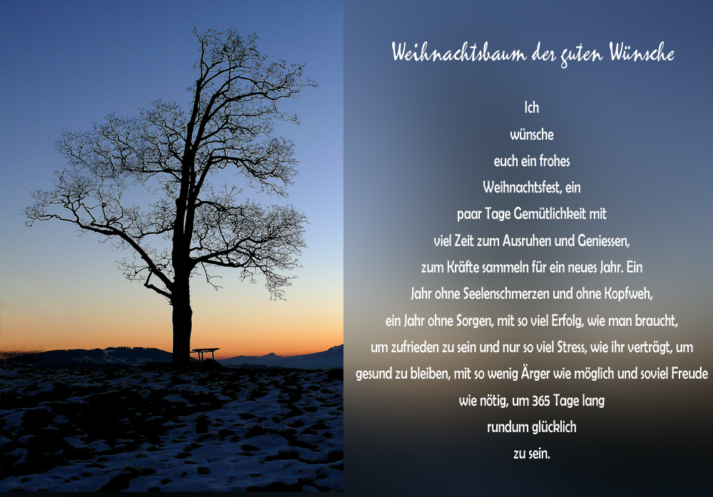 ~ FROHE FESTTAGE ~ Foto & Bild  karten und kalender, weihnachtskarten, karteria Bilder auf 