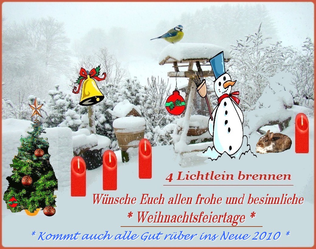Frohe Festtags Wünsche - Foto & Bild  gratulation und feiertage 