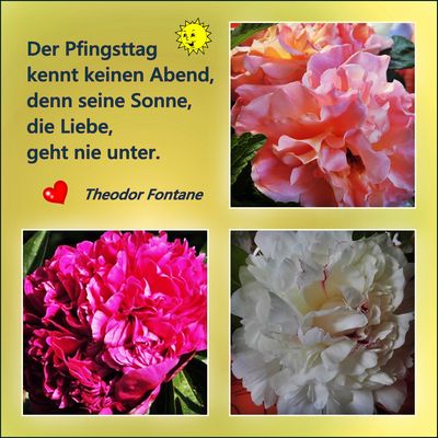 Gratulation und Feiertage Bilder &amp; Fotos