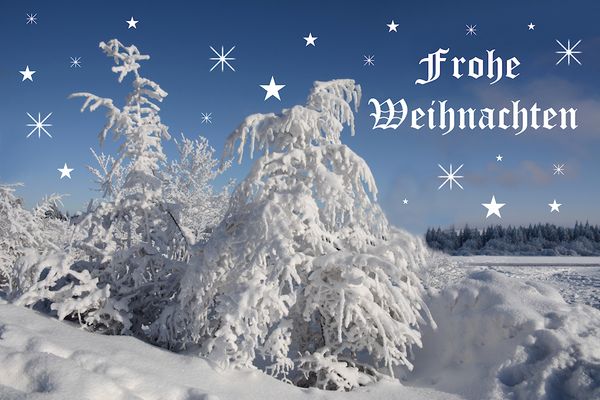 Weihnachtskarten Fotos &amp; Bilder auf fotocommunity