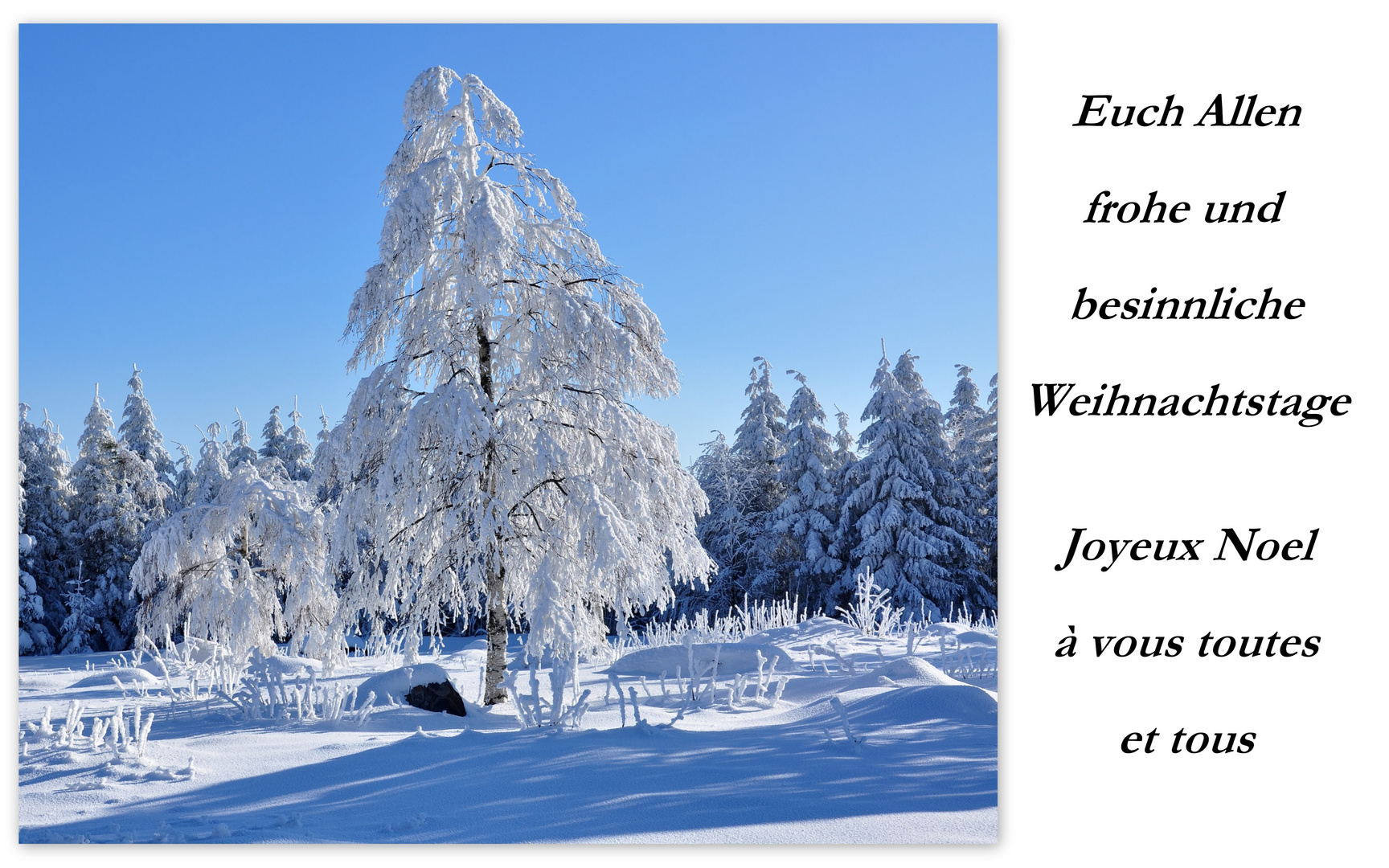 Frohe Weihnachten Joyeux Noel Foto & Bild karten und kalender