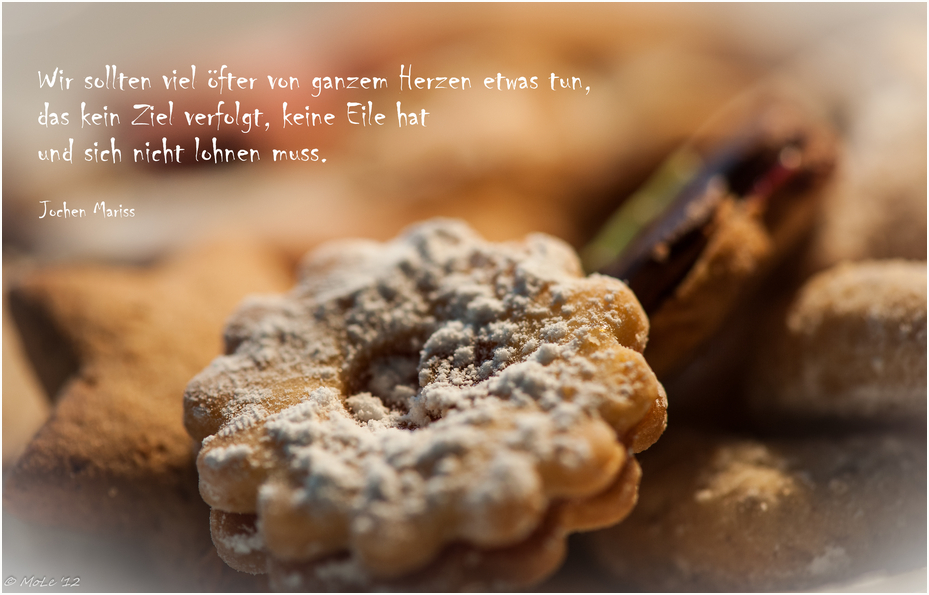 Frohe Weihnachten! oder "Kekse von Oma sind halt die Besten" Foto