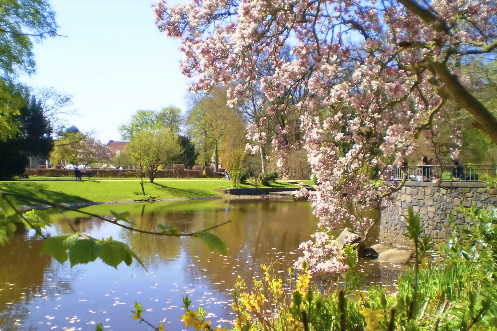  Frühling Foto & Bild landschaft, garten & parklandschaften