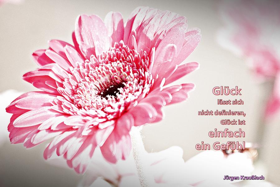 Frühlingsblume mit Spruch Foto &amp; Bild karten und kalender, vögel