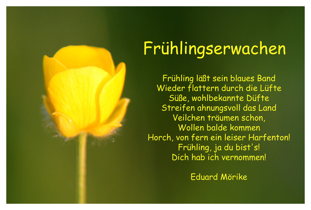 Karte Frühling | creactie