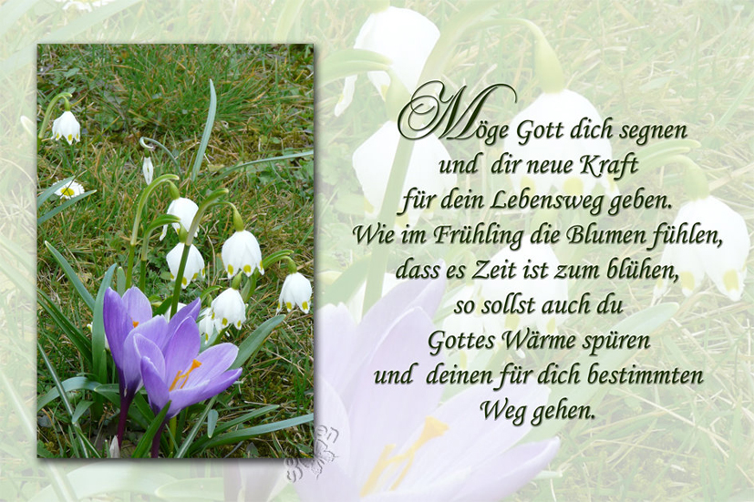 Frühlingssegen zum Frühlingsanfang Foto & Bild karten und kalender