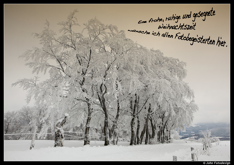 Ganz liebe Weihnachtsgrüße... Foto & Bild | karten und kalender ... Ganz liebe Weihnachtsgrüße... Foto & Bild | karten und kalender ...
