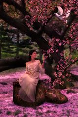 Gardener's Last Flower: The winter already comes