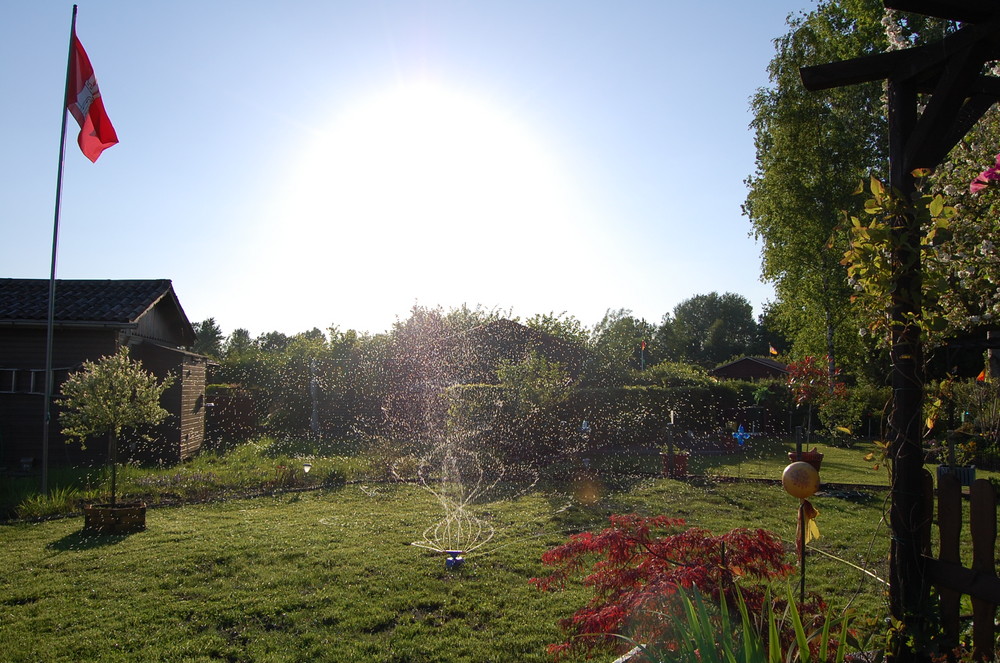 Garten Sonne Foto & Bild medien und werbung, spezial Bilder auf