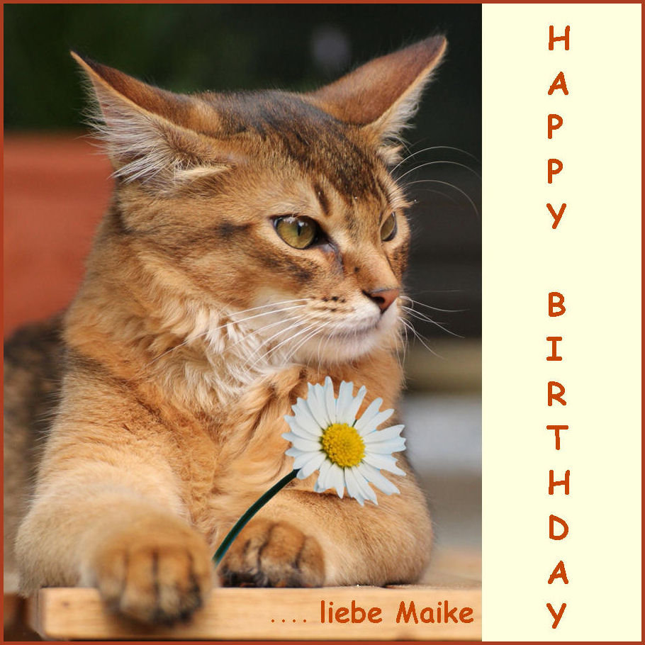 Geburtstagsgrüße für Maike... Foto & Bild gratulation und feiertage, geburtstag, karten Bilder