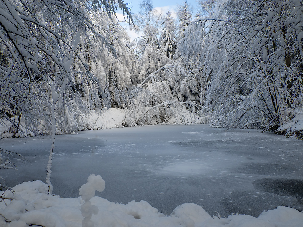 Gefroren hat es heuer... Foto & Bild landschaft, bach, fluss & see