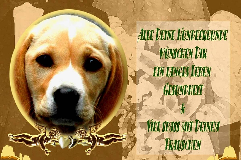 herzlichen glückwunsch zum geburtstag hund