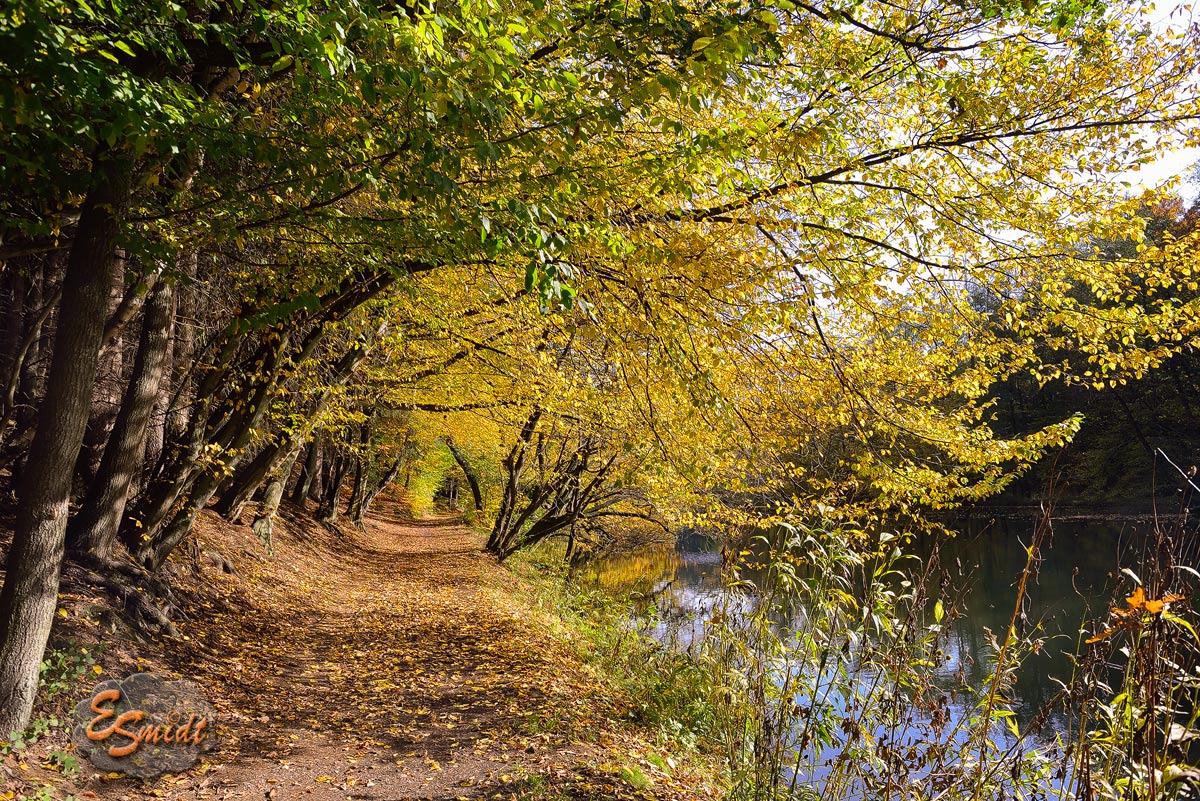Goldener Herbst Goldener Herbst