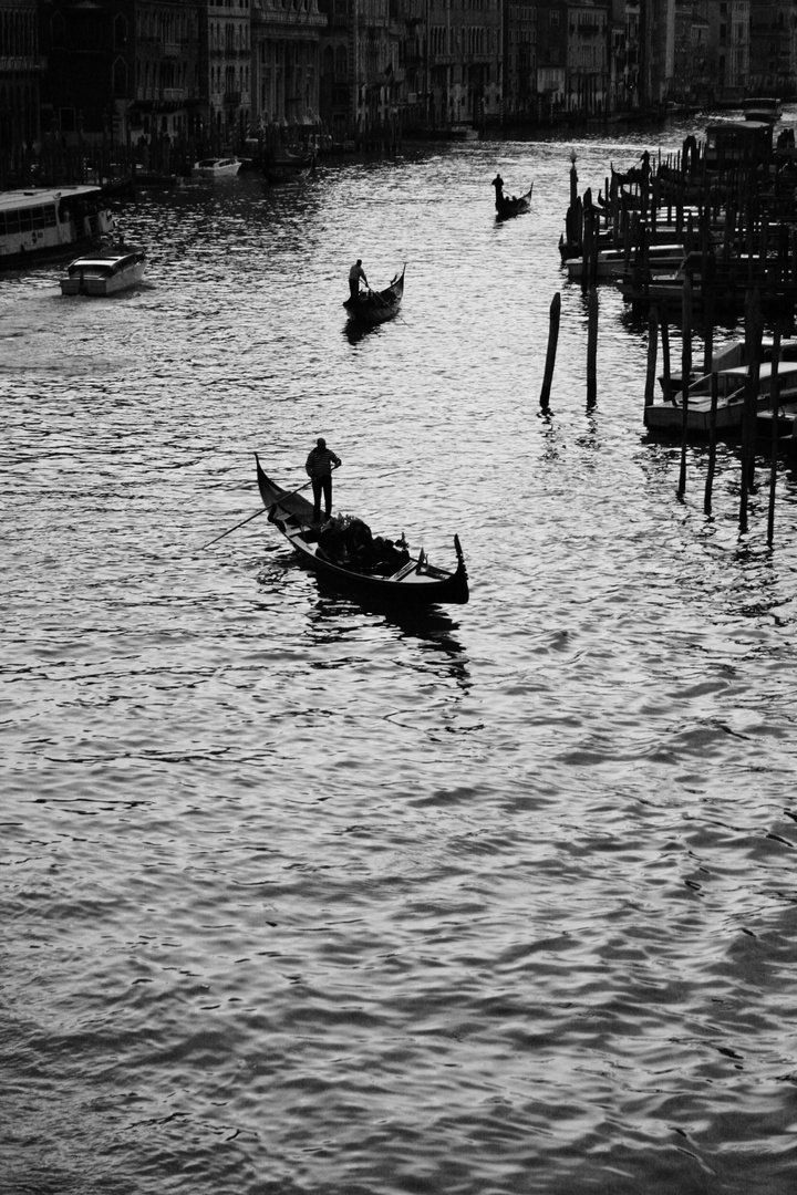 Resultado de imagen para gondolas en contraluz