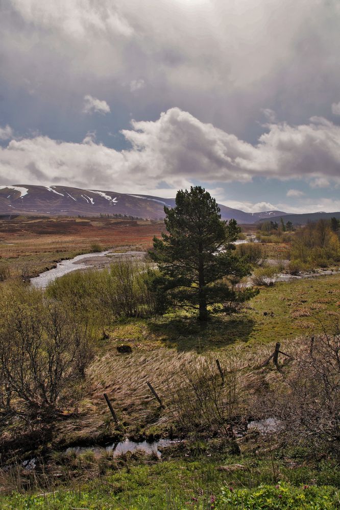 Grampian Mountains Foto & Bild europe, united kingdom & ireland, scotland Bilder auf