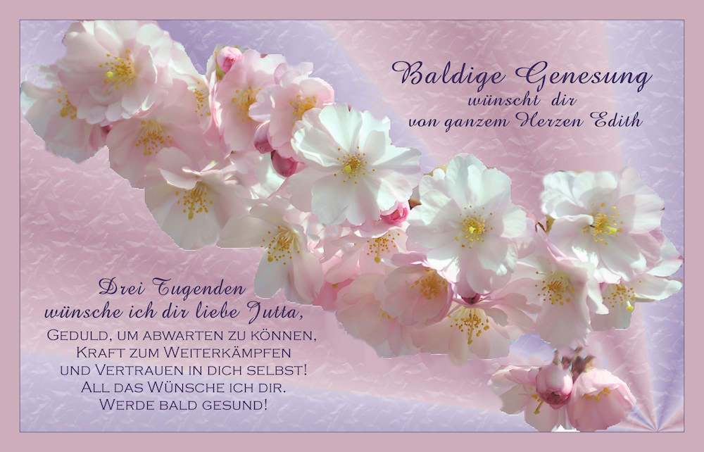 Baldige Genesung Liebe Gute Besserung Wünsche www.fotocommunity.de