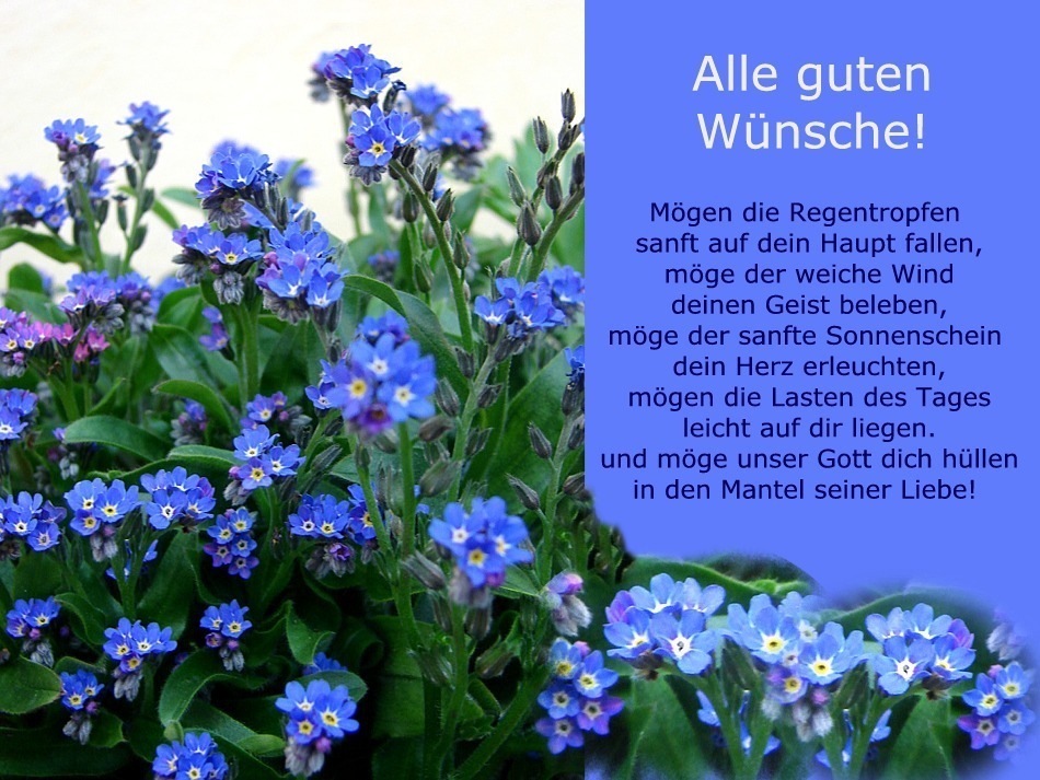 Gute Wünsche Foto & Bild gratulation und feiertage, geburtstag