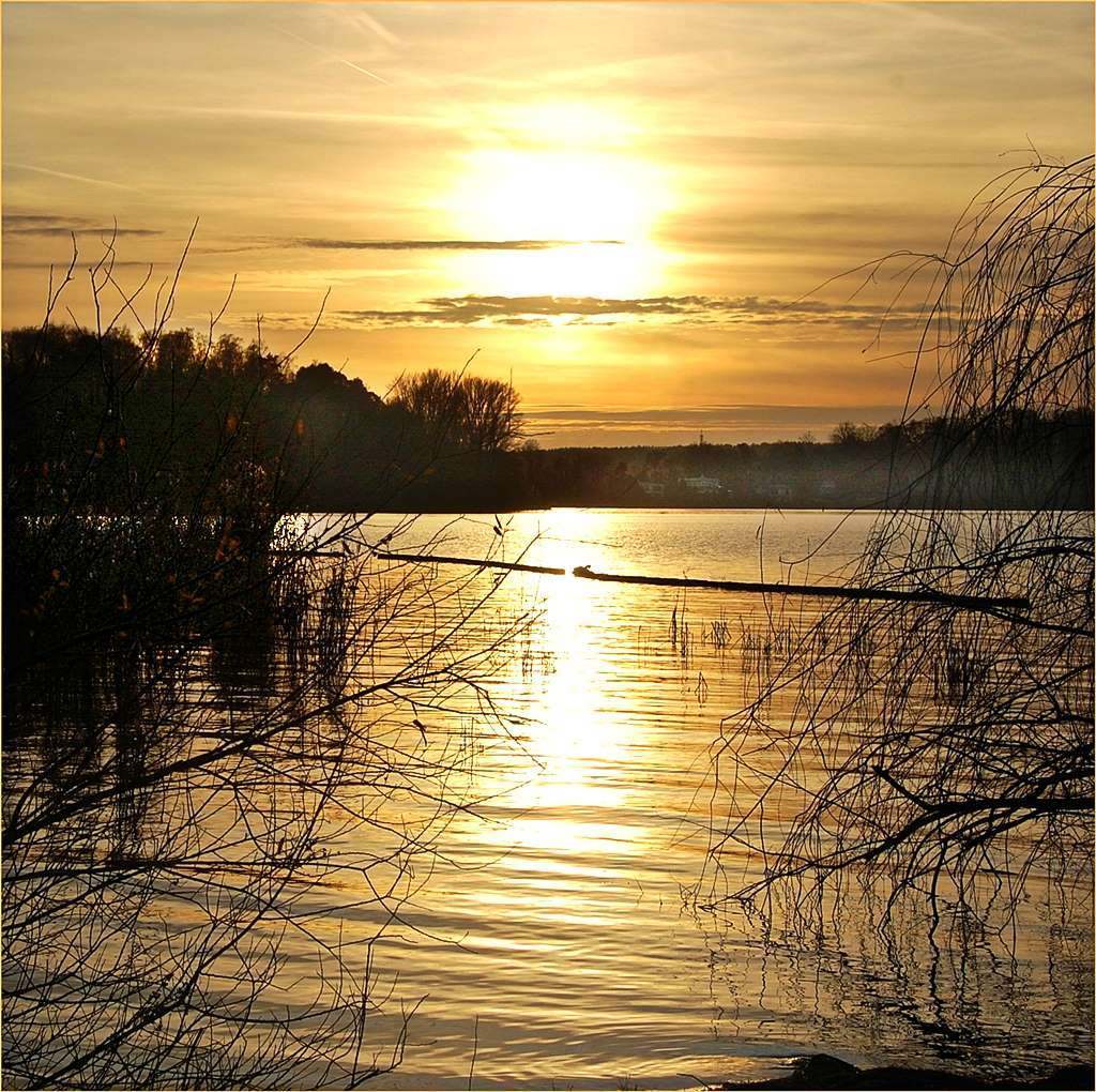 Guten Abend Gute Nacht Bilder Guten Abend Gute Nacht Bilder