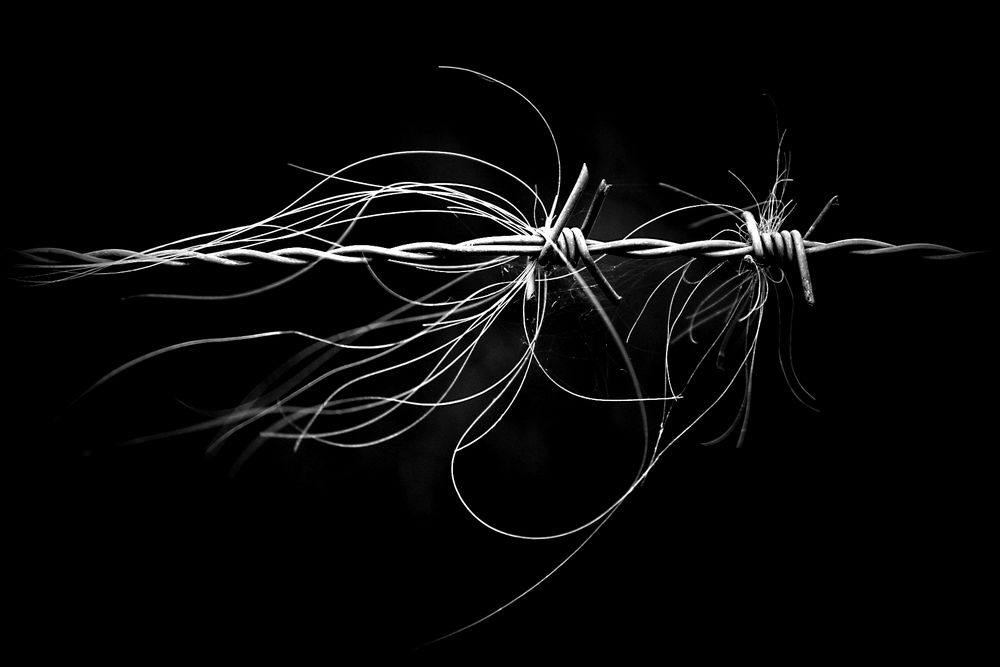Haarlinien von Sabine Röhl Haarlinien von Sabine Röhl