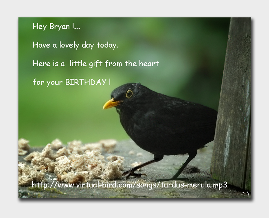 Happy Birthday Bryan… photo & image | greeting cards, birthday, birds