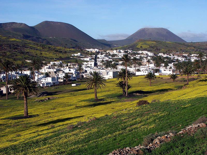 Haria im Tal der tausend Palmen Foto & Bild europe, canary islands die kanaren, spain Bilder
