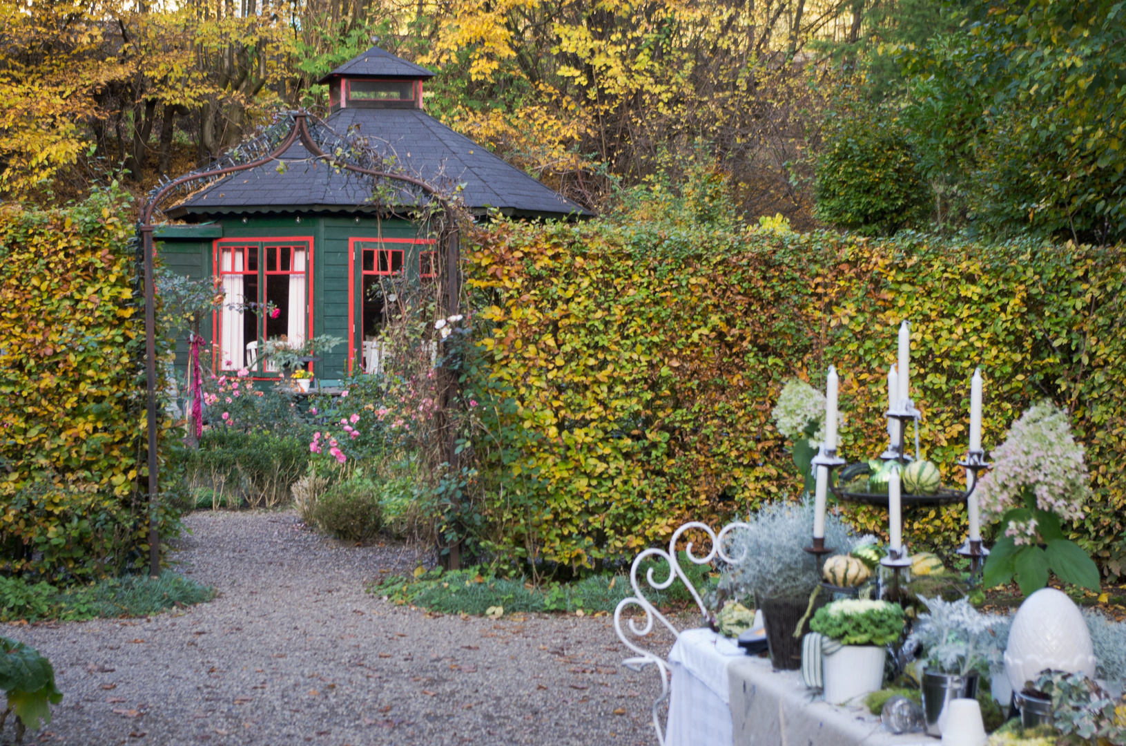 Herbst "Der Garten" Wissen an der Sieg Foto & Bild