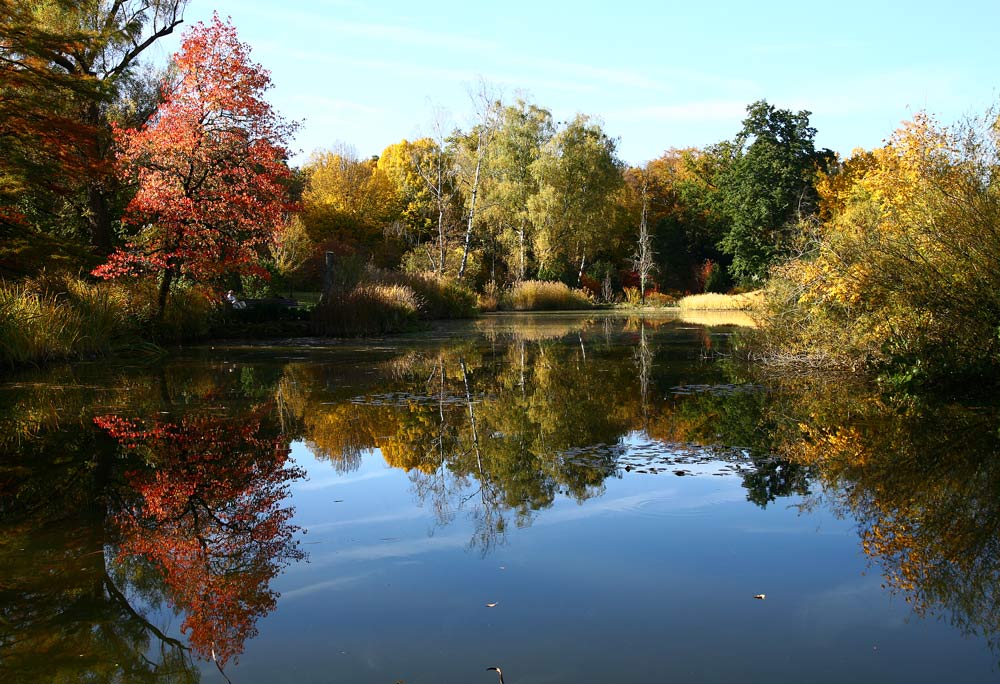 HERBSTTEICHBOTANISCHER GARTEN MÜNCHEN Foto & Bild jahreszeiten