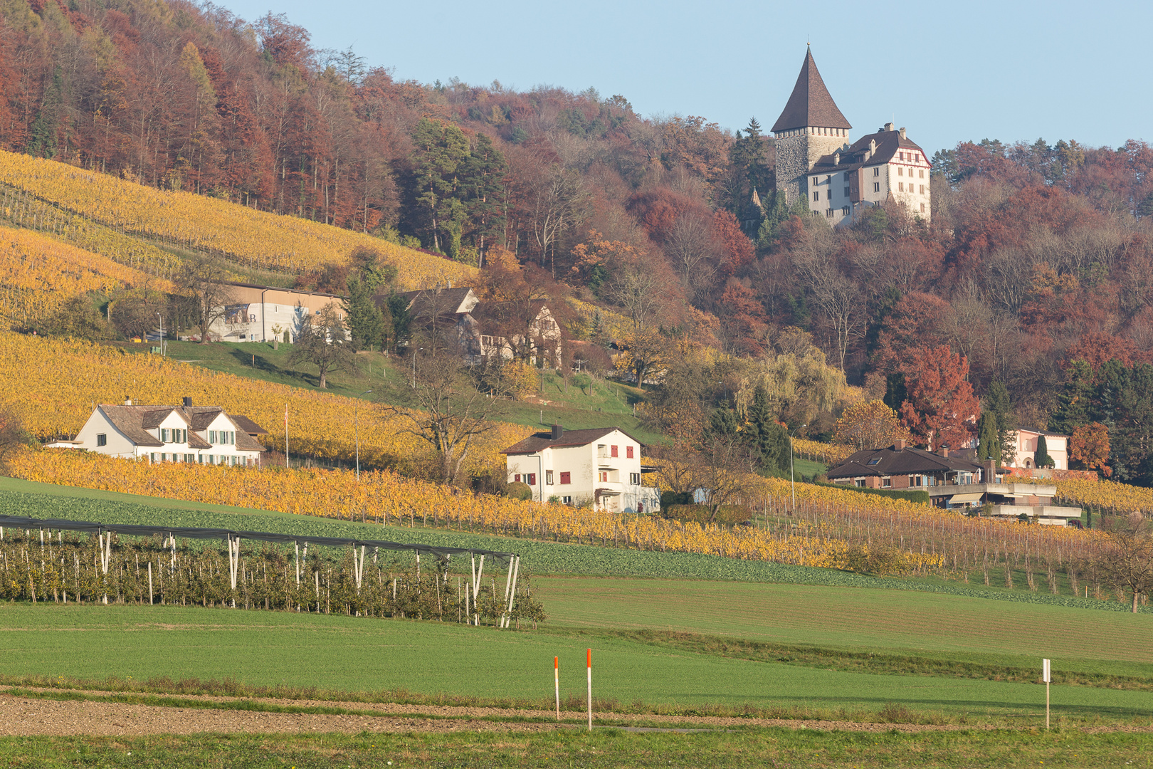 Herbstlicher Ottenberg mit Schloss Weinfelden Foto & Bild | landschaft