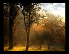 herbstlicht