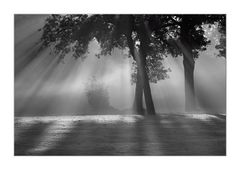 Herbstlicht