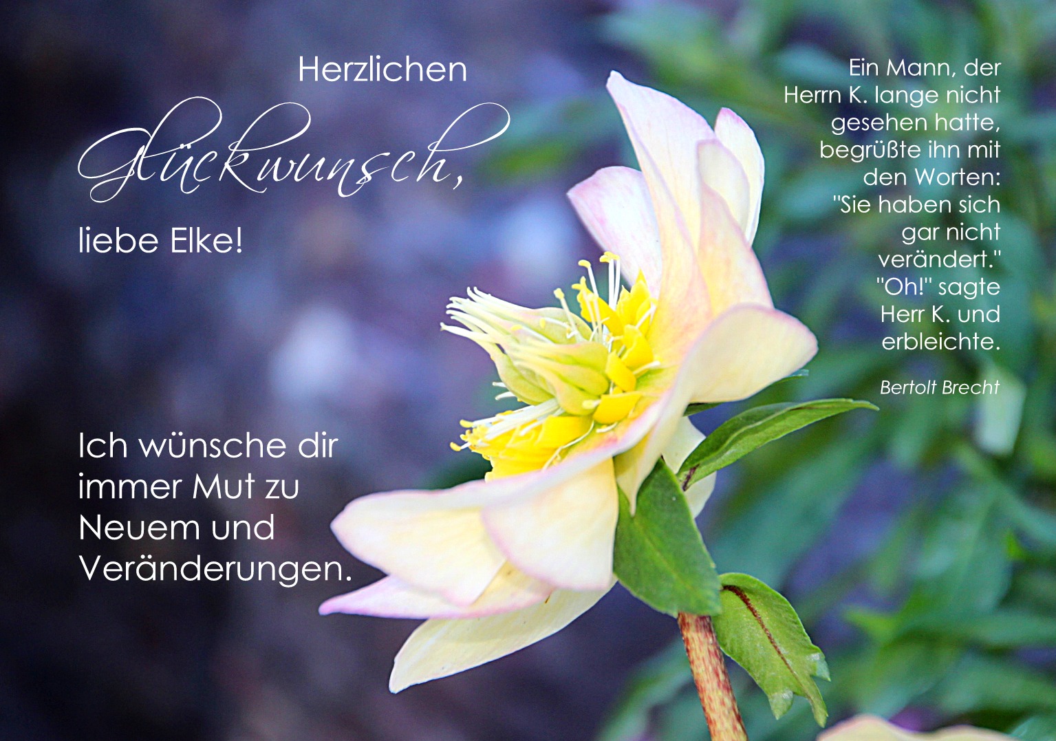 Herzlichen Glückwunsch zum Geburtstag, liebe Elke! Foto & Bild