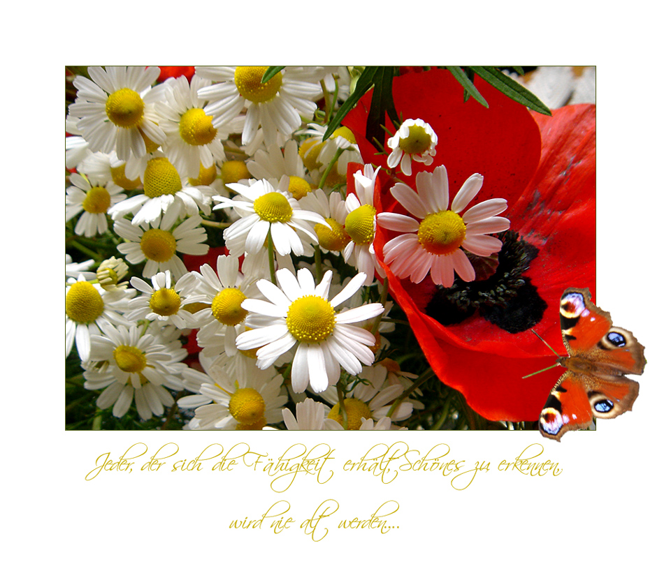 Herzlichen Glückwunsch zum Geburtstag, liebe Sylvia Foto & Bild