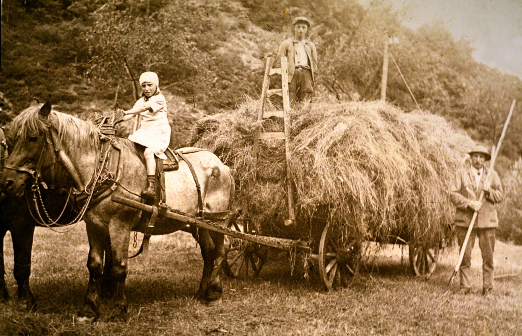 Heuernte in der Eifel, früher Foto &amp; Bild | spezial, pferde, handarbeit ...