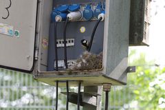 Hinter den Kulissen...im Vogelhaus mit Stromanschluß
